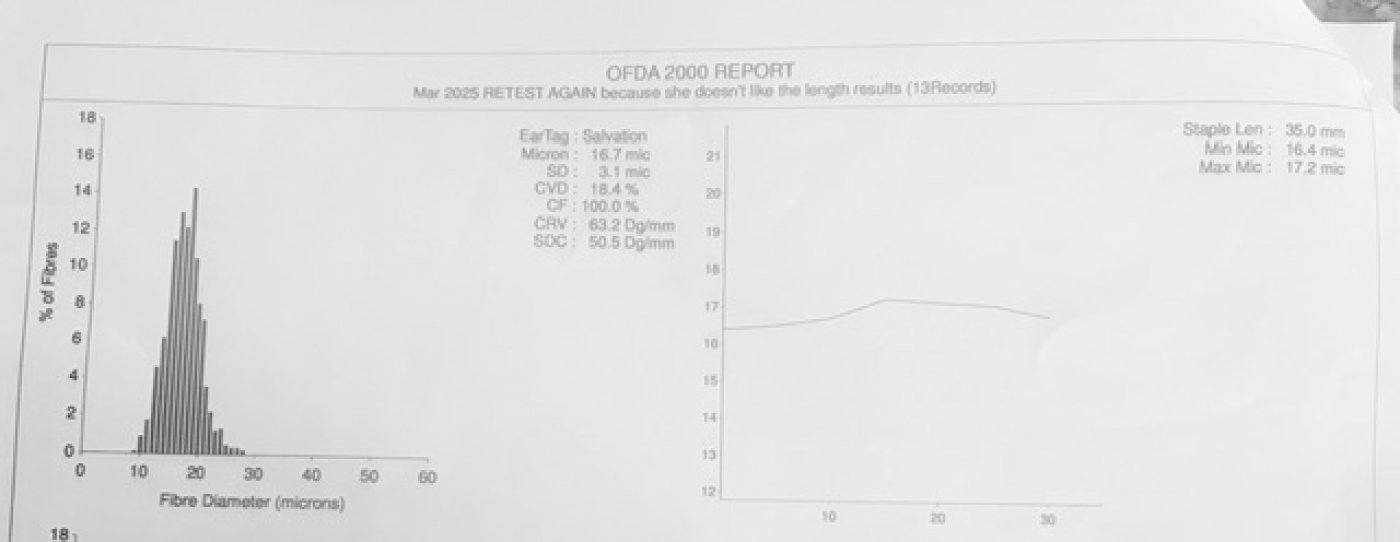 Lookout Mountain Growers Salvation Song