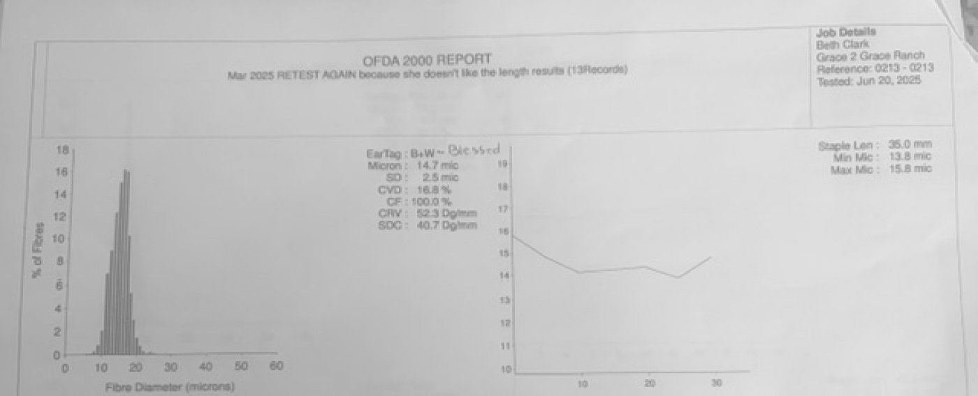 Lookout Mountain Growers The Blessing